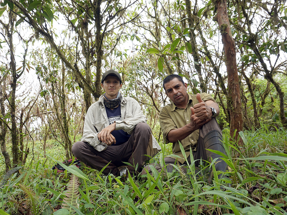 Protecting the habitat of the Galapagos Petrel!